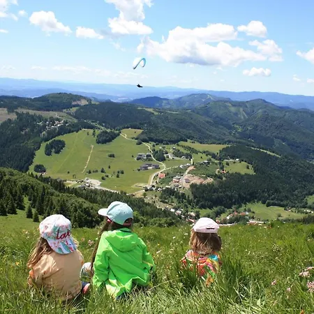 Domino V Horci Na Donovaloch Apartment *