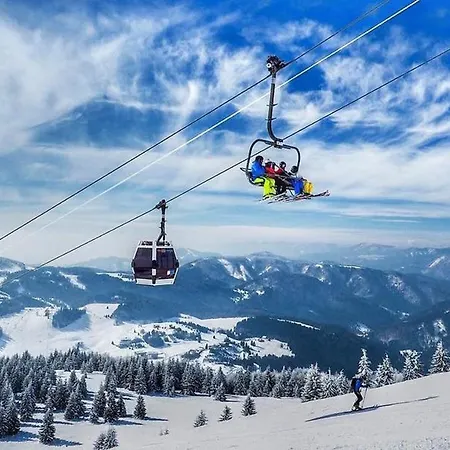 Domino V Horci Na Donovaloch